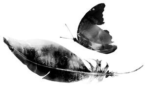 Tapeta pírko s motýlem v černobílém