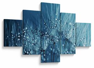 Obraz - Kapky rosy (125x70 cm)
