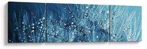 Obraz - Kapky rosy (170x50 cm)