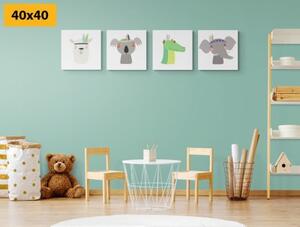 Set obrazů roztomilá zvířátka s pírkem - 4x 40x40 cm