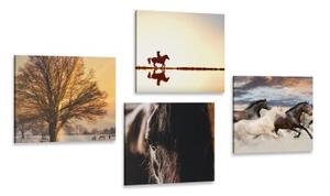 Set obrazů pro milovníky koní - 4x 60x60 cm