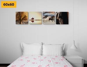 Set obrazů pro milovníky koní - 4x 40x40 cm