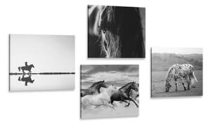 Set obrazů pro milovníky koní v černobílém provedení - 4x 40x40 cm