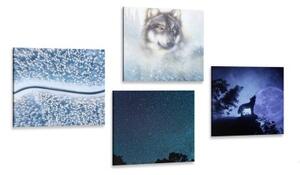 Set obrazů samotářský vlk - 4x 40x40 cm