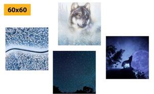 Set obrazů samotářský vlk - 4x 40x40 cm