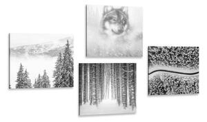 Set obrazů vlk v tajemném lese v černobílém provedení - 4x 40x40 cm