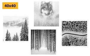 Set obrazů vlk v tajemném lese v černobílém provedení - 4x 40x40 cm