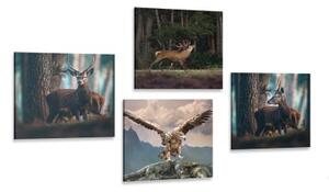 Set obrazů krása lesních zvířat - 4x 40x40 cm