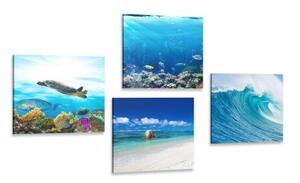Set obrazů mořský svět - 4x 40x40 cm