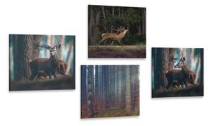 Set obrazů kouzlo lesních zvířat - 4x 40x40 cm