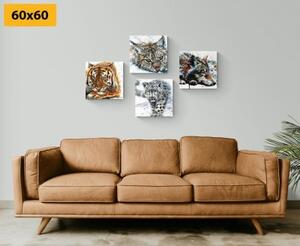 Set obrazů zvířata v nádherném akvarelovém provedení - 4x 40x40 cm