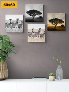 Set obrazů zvířata žijící na Savanu - 4x 40x40 cm