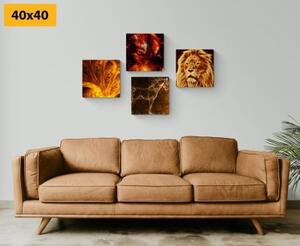Set obrazů abstraktní zvířata - 4x 40x40 cm