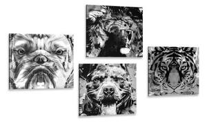Set obrazů zvířata v černobílém provedení pop art stylu - 4x 40x40 cm