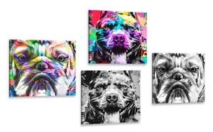 Set obrazů psy v pop art provedení - 4x 40x40 cm