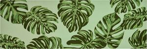 GRUND Rohožka do domácnosti ARACEA zelená Rozměr: 60x180 cm