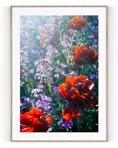 Plakát / Obraz Tulipa Pololesklý saténový papír 30 x 40 cm