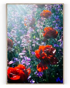 Plakát / Obraz Tulipa Pololesklý saténový papír A4 - 21 x 29,7 cm