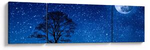 Obraz vlka vyjícího na měsíc (170x50 cm)