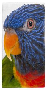 Osuška Barevný papoušek 70x140