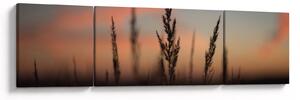 Obraz - Silueta rostliny (170x50 cm)
