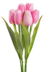 Tulipán s listem 6 ks - růžová výraznější