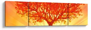 Obraz - Strom v záři slunce (170x50 cm)