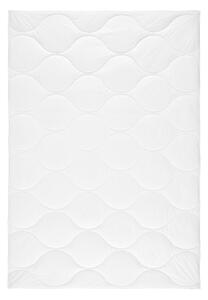 PŘIKRÝVKA, 140/200 cm, polyester Sleeptex - Přikrývky