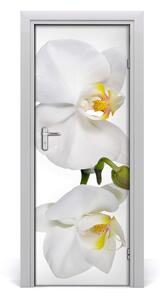 Samolepící fototapeta na dveře Bílá orchidej 95x205cm