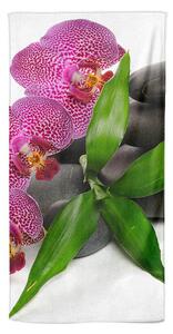Osuška Orchidej na kamenech 70x140