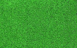 Koberec umělá tráva Squash - zelený - 2m