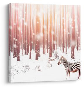 Obraz - Zebra v zasněženém lese (30x30 cm)