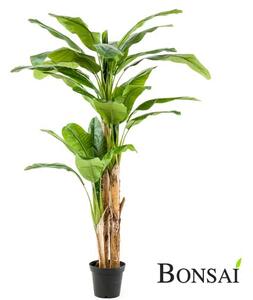 Umělý banánovník 200 cm v květináči – exotická dekorace - 201 - 230 cm