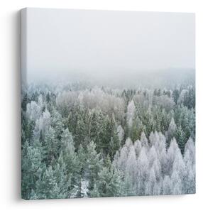 Obraz - Zasněžené vrcholky lesů (30x30 cm)
