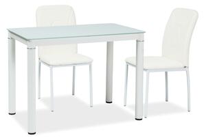 Jídelní stůl Gabriel (bílá + bílá) (pro 4 osoby). 1050178