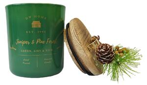 DW HOME Juniper & Pine Forest Vonná svíčka ve skle, 244 g
