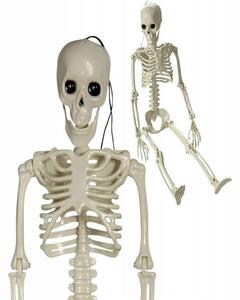 Lidská kostra skelet 40 cm halloween dekorace