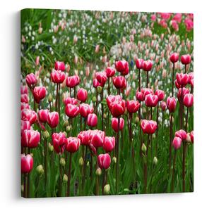 Obraz tulipánů (30x30 cm)