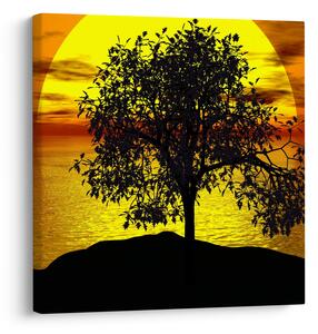 Obraz siluety stromu (30x30 cm)