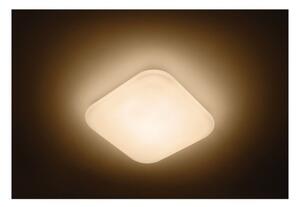Philips 31110/31/P0 Mauve LED stropní svítidlo 17W=1700lm 2700K