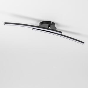 LED Stropní svítidlo 2xLED/6W/230V černá