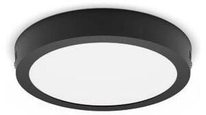 Philips 8719514328693 Magneos Slim DL252 stropní svítidlo LED D210mm 12W/1150lm 2700K černá