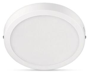 Philips 8719514328679 Magneos Slim DL252 stropní svítidlo LED D210mm 12W/1200lm 2700K bílá