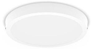 Philips 8719514328754 Magneos Slim DL252 stropní svítidlo LED D283mm 20W/2000lm 2700K bílá