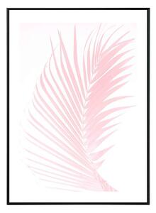 Pink Inspiration - 30x40 cm Obraz