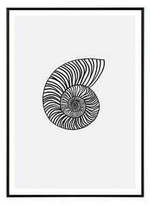 Nautilus in black - 30x40 cm Obraz
