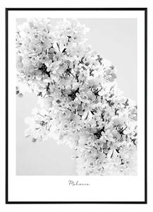 Flower mahonia - 30x40 cm Obraz