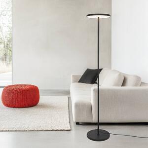 Viokef LED stojací lampa Demy, černá, výška 170 cm, kov, Černá, Obývací pokoj / jídelna, Hliník, Moderní