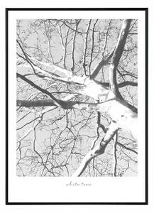 White tree - 30x40 cm Obraz