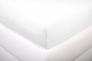 Aaryans Economy Jersey prostěradlo bílé Rozměry: 180x200 cm